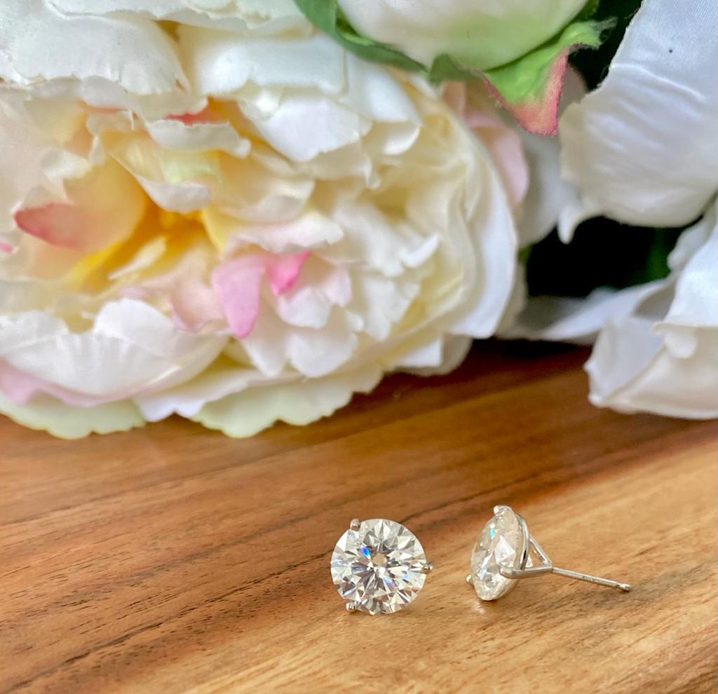 WhatsApp Image 2023-01-24 at 16.33.26 (1)