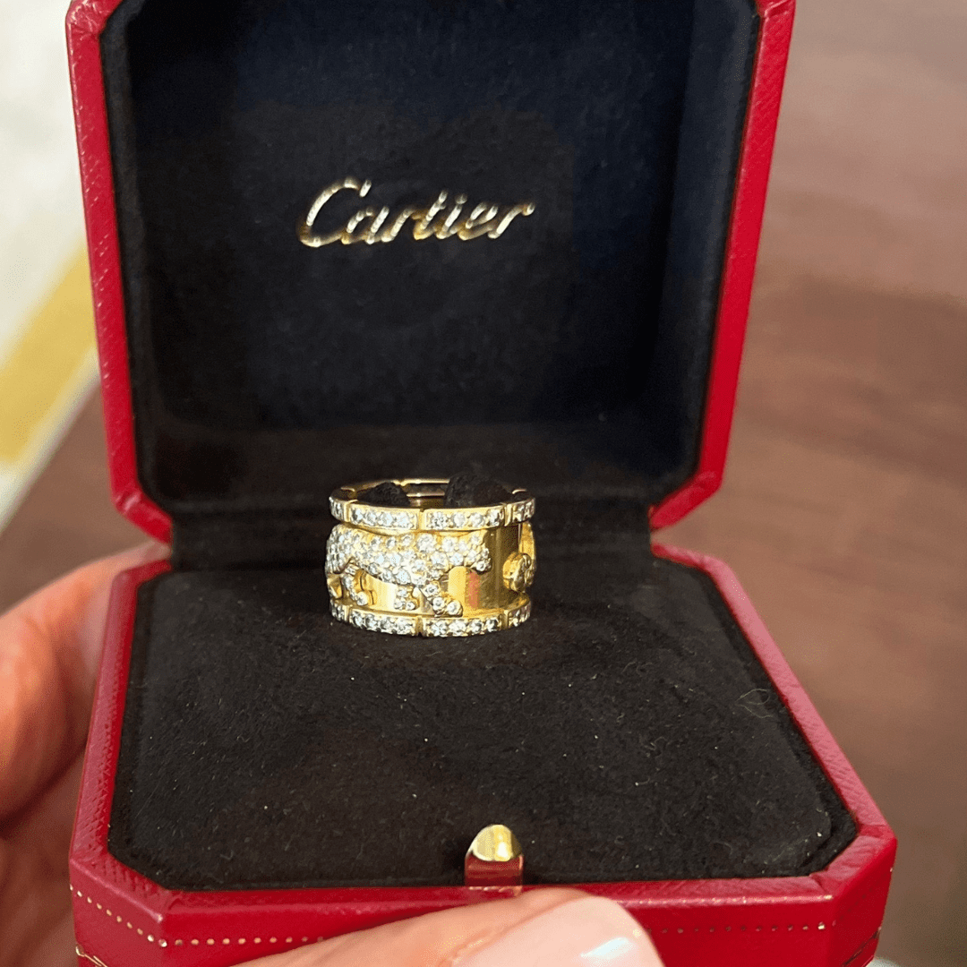 Untitled design - 2023-01-19T105407.646