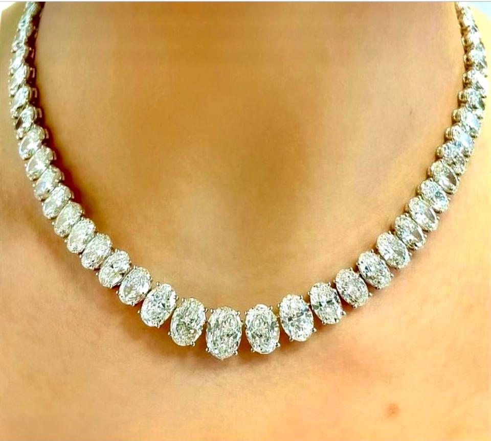 WhatsApp Image 2023-01-19 at 14.55.43