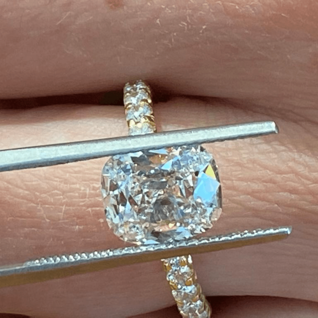 Untitled design (22)